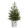 26" Pine Tree in White Container Cozy Pines