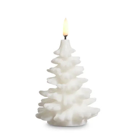 3.5" X 5.5" Uyuni White Tree Candle Cozy Pines
