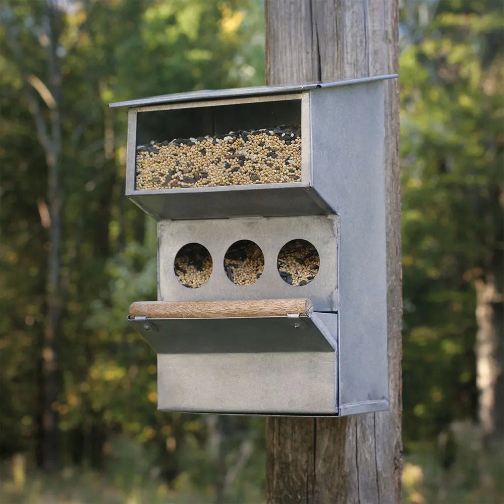 Backyard Buddies Bird Feeder Cozy Pines