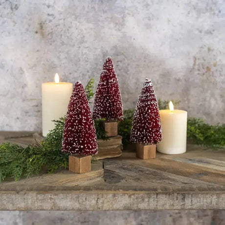 Burgundy Bottlebrush Cozy Pines