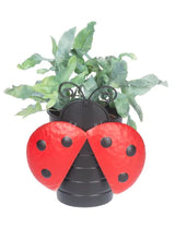 Ladybug Mini Planter Ganz