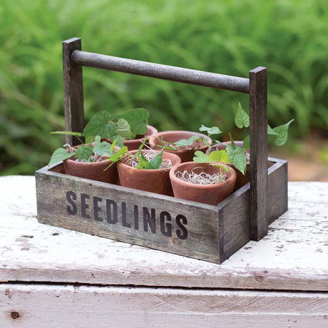 Seedling Pots Caddy Cozy Pines