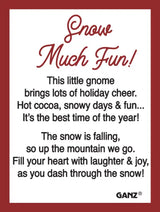 Snow Much Fun Ski Gnome Cozy Pines